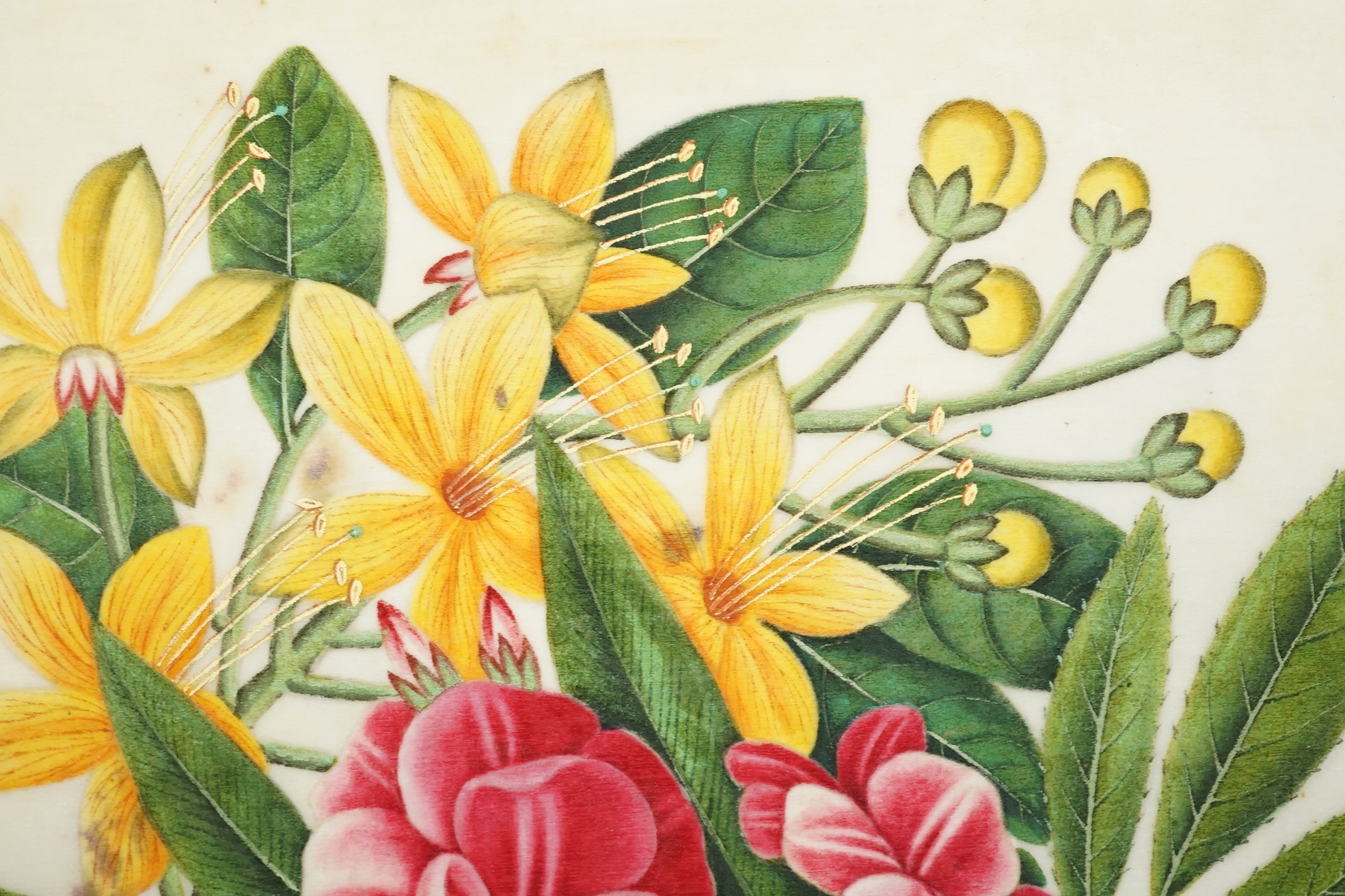 Chinese Guangzhou School , (mid 19th century), Album of 22 watercolours on pith paper and a pencil drawing on rice paper
